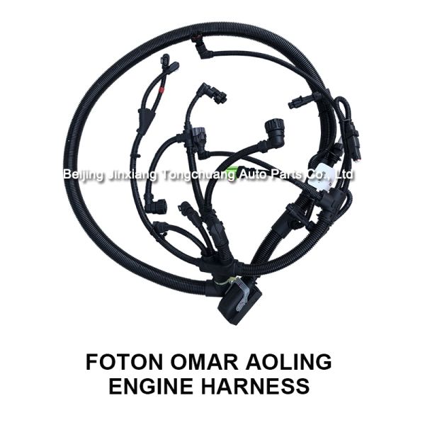 ISF2.8 5306289 Foton Aumark Truck Electronic Control Module Engine Wiring Harness