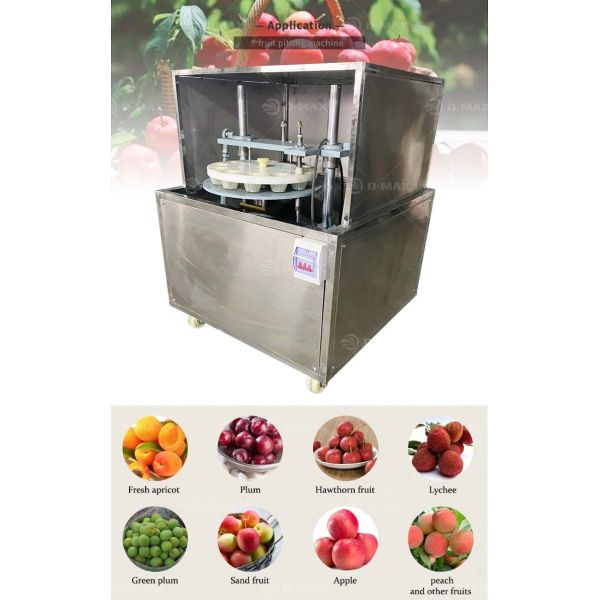 Best Dry Dates Pitting Machine 150 KG Cherry Seed Remover Olive Core Removing Machine