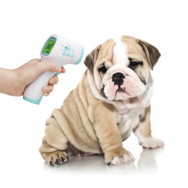 FDA Medical Household Digital LCD Fever Thermometer