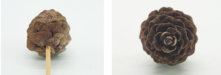 9cm Dcorative Bamboo Pine Cones Food Fruit Picks