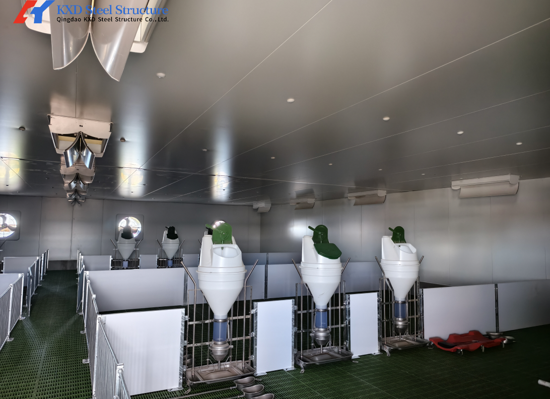 Construction d'un hangar de porcherie en acier à longue portée bâtiments de volaille en acier