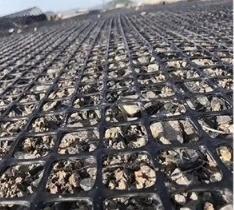 30kn PP Plastic Biaxial Geogrid for Breeding Industry Onsite Installation Included