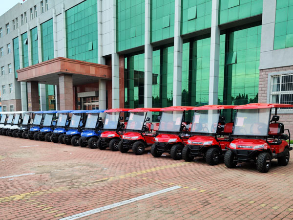 1000 кг 100 км пассажирский лимузин тележка для гольфа на заказ