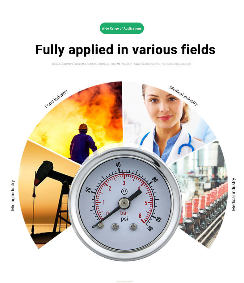 41.5mm Back Mounted Pressure Gauge for Water and Gas Applications in Biogas Systems