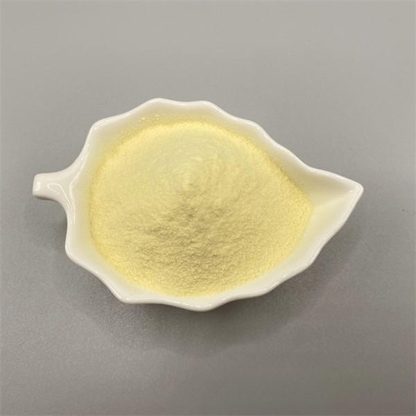 Poudre de protéines de soja jaune clair avec 95% de protéines et d'acides aminés essentiels
