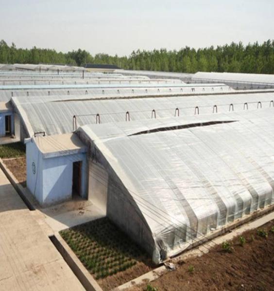 2000.000kg Juxiang's Commercial Sunlight Greenhouse for Strawberry Farming jx-sg-108