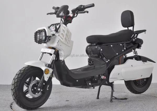 60V Electric Motorcycles EEC Electric Bike Electric Scooter Moped City Bike for Adult