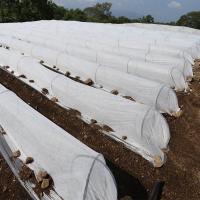 Preço de fábrica 4% UV Spunbond não tecido micro túnel em 17gr cor branca