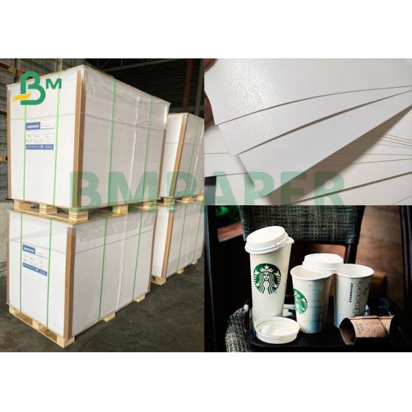 Сторона Cupstock бумажная одиночная покрытая с полиэтиленом 250gsm качества еды