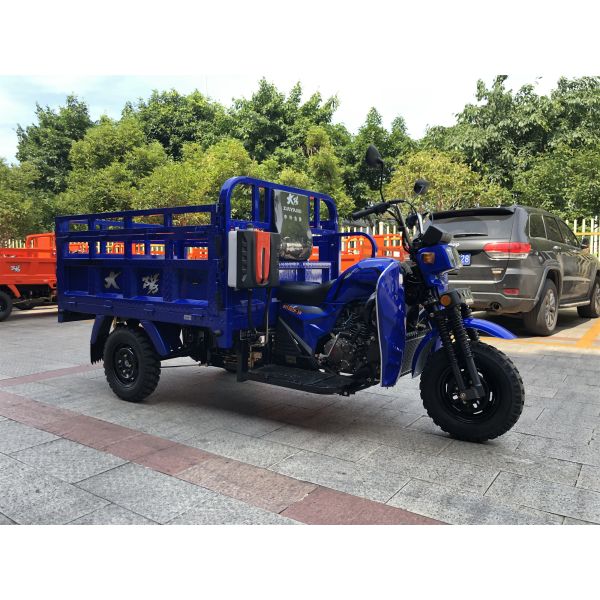 DAYANG DY-Q2 175cc Africa Heavy Load Motor Tricycle 3150 mm Length 4.5 Load Capacity