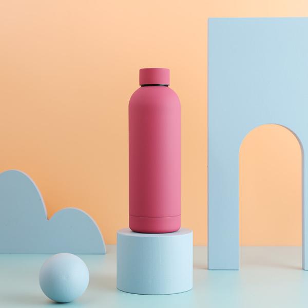 Double Wall 18/8 Stainless Steel Water Bottle Small Mouth Keep Cold And Hot