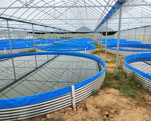 Impermeabilização simplificada com HDPE Pesca Lâmina impermeável Geomembrana