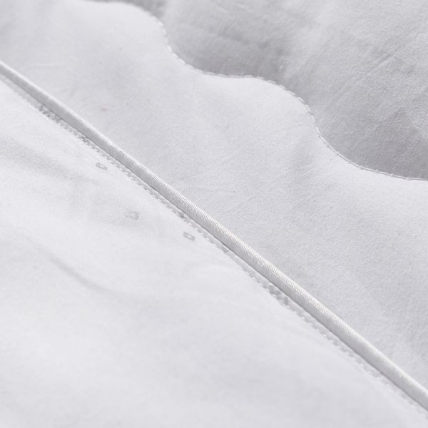 Warm Hotel Style Quilt Student Hotel Down Quilt Accept Customized Logo