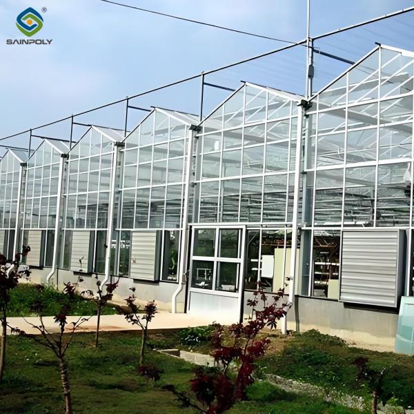 High Yield Agricultural Lettuce Greenhouse With Intelligent Control System