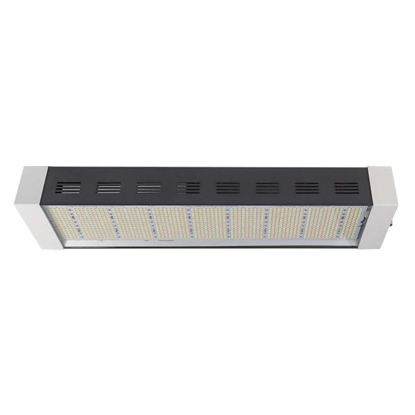 IP65 LED Lights For Growing Plants Indoors , Full Spectrum Led Flowering Grow Lights