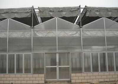 Serre à poly-tunnel sur mesure à longue portée Serre à poly-tunnel en polycarbonate agricole