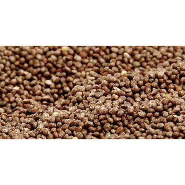 Brown Perilla Seed Eco Friendly Agricultural Products As Traditional Condiment