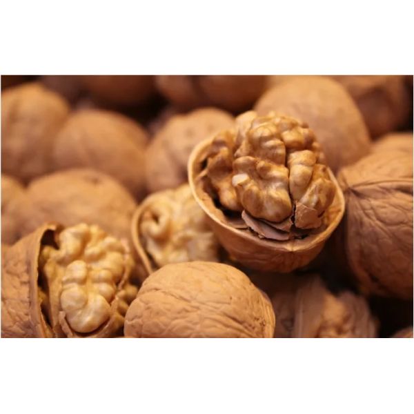 Молоко стерженя грецкого ореха молока Vegan для диеты и Vegan подготавливают для того чтобы выпить пакуя органический напиток