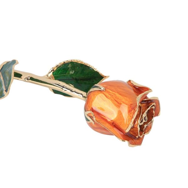 China Manufacture Supply Gold Plated Real Rose Real Flower Natural Rose for Valentine Gifts Preserved Rose