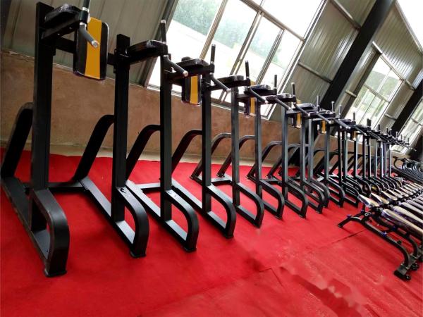 Befreeman Wholesale Hot Sale High Quality Gym Equipment Vertical Kness Up/dip