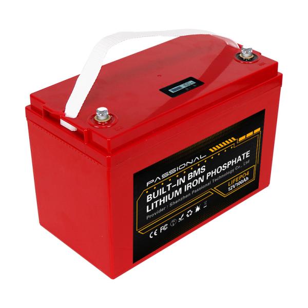 ESS Outdoor 12V LiFePO4 Battery 100ah Lithium Rechargeable For RV
