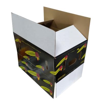 Biodegradable Vegetable Corrugated Boxes , Flat Opening Glass Liquor Bottle Shipping Boxes