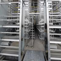 sistema da remoção do estrume das aves domésticas de 1.2mm