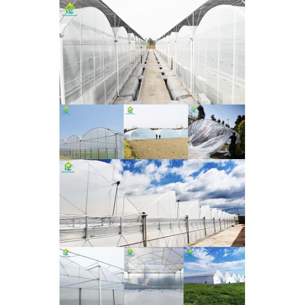 Полиэтиленовая пленка прозрачного парника Multispan 200 материалов крышки парника Mirco