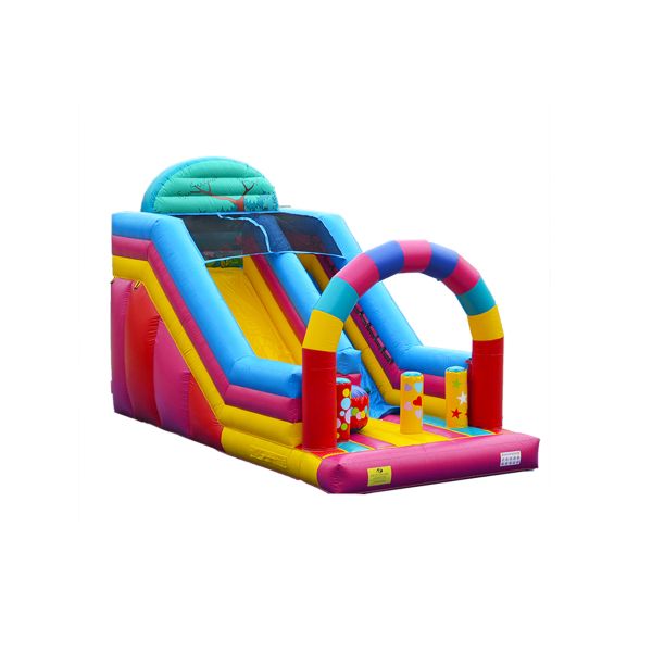 Customized Children Fun Park Inflatable Slide For Rentals