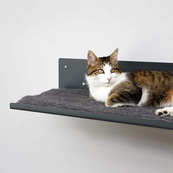 Mobiliário de parede de gato revestido com pó preto 20x20cm Escadaria de aço de gato