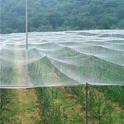 UV Resistant Hail Net 0.8mm Thickness Designed to Protect Crops