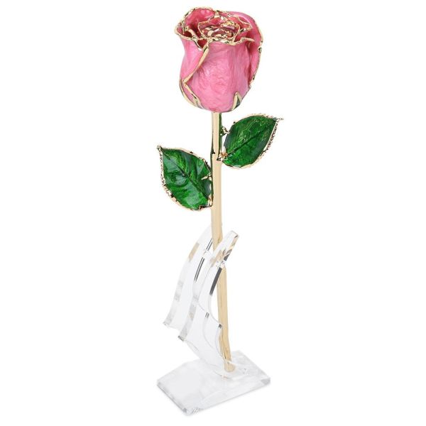 Preserved Roses Gold Plated Rose Real Flower Handmade Wholesale