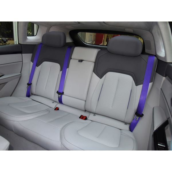 HiPhi Y Chinese EV Cars Electric Luxury SUV With Wheelbase 2950mm