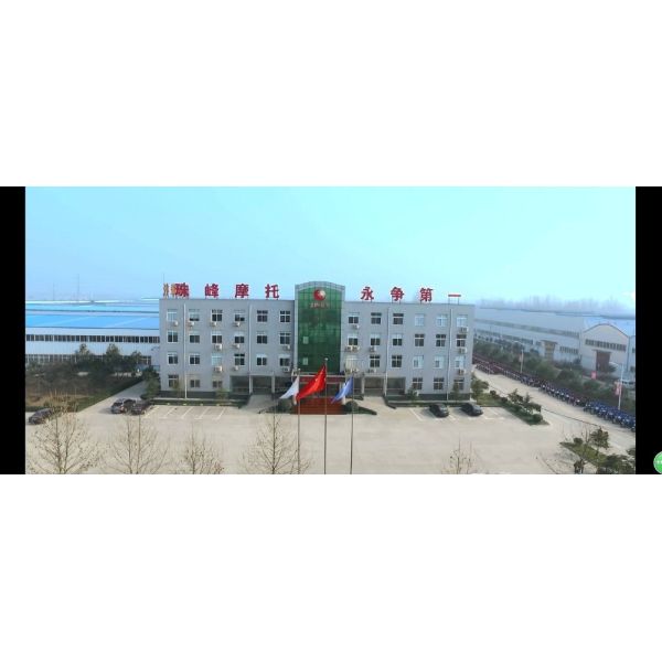 ChineseTricycleFactory2500*1000Size And Open Body Type Motor Electric  Carry Cargo Rickshaw Electric Tricycle