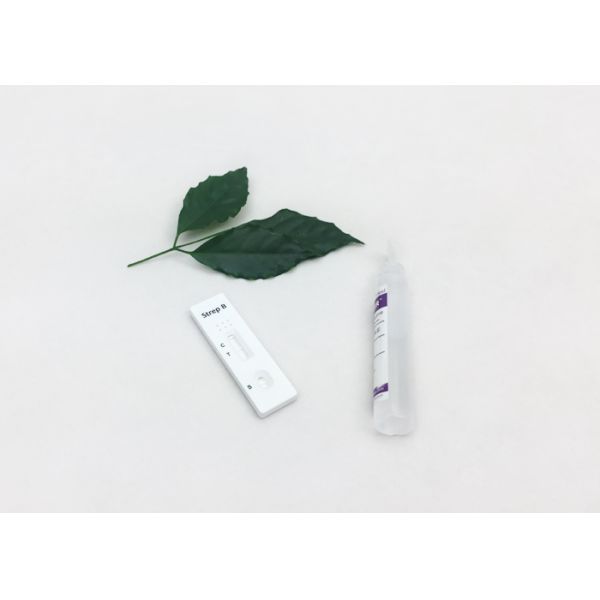 Один диагностический тест Стреп б точности шага высокий быстрый, быстро и легко, метод золота коллоидный, образец пробирки