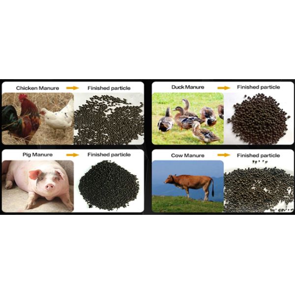 Round Ball Organic Pellets Fertilizer Production Line With Disc Granulator