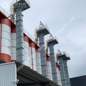 bucket elevator conveyor