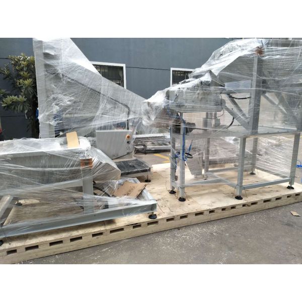 Automatic Carton Packing Machine for Fasteners with 10bag/min Capacity and Easy Operation