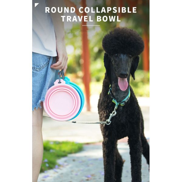 Шар воды собаки силикона зеленого цвета BB на открытом воздухе складный для идти пеший путешествовать