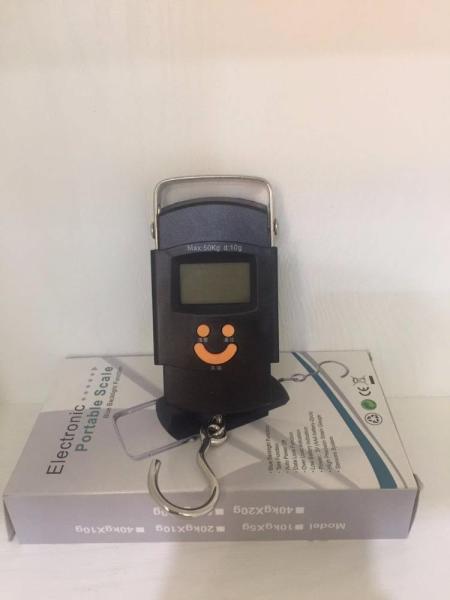 Balance numérique portable à crochet avec écran LCD bleu Mini 50kg/10g Balance de pêche électronique suspendue Support personnalisé