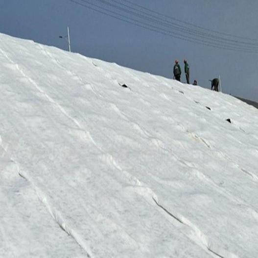 ISO14001 Certified Sodium-Based Bentonite Geosynthetic Clay Liner for Water Conservancy