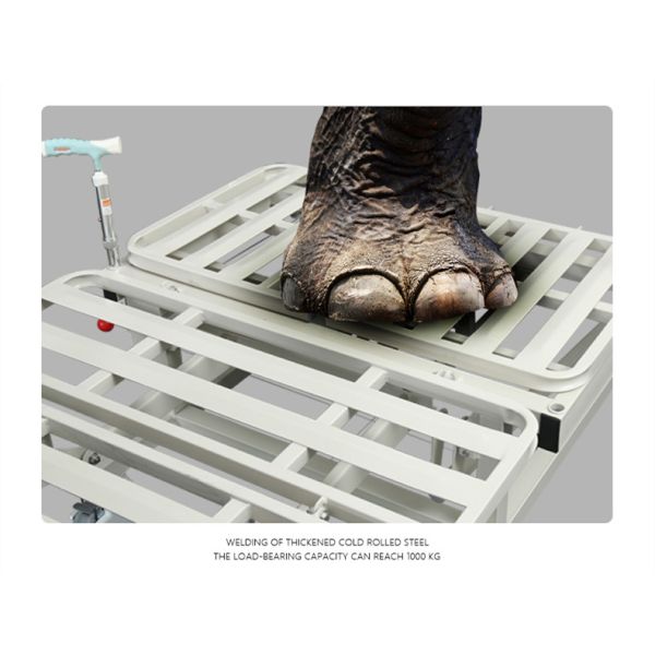4 Castors Electric Hospital Bed With Turn Over Side Rails
