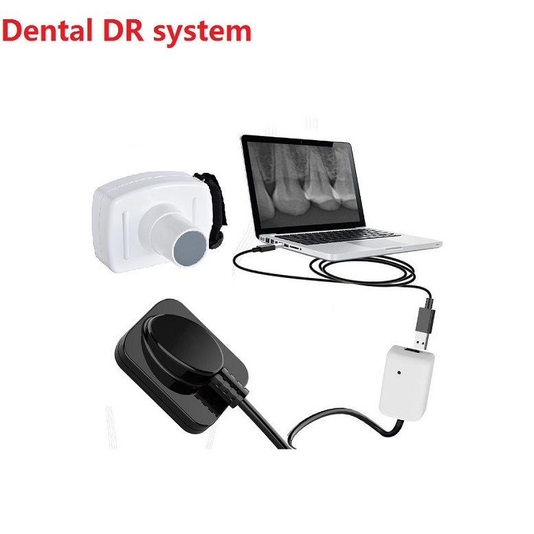 Factory price for the 21*21 rvg dental sensordental sensor digital dental x-ray FP12