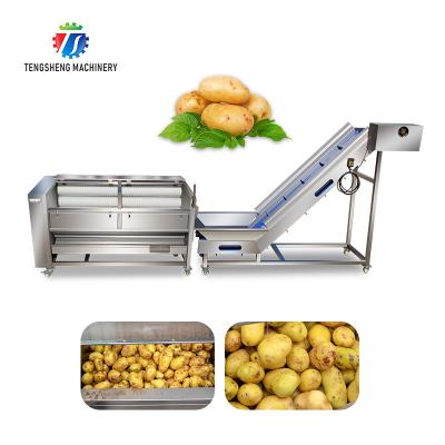 Linha de processamento de aço inoxidável limpeza das frutas e legumes de escova e levantamento