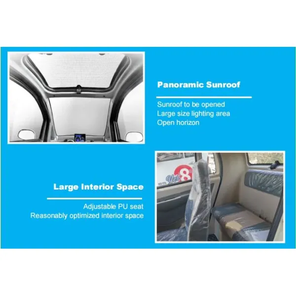 Raysince electrical mini car EEC certificated electric three-wheelers hot sales to Europe