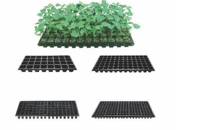 wholesale hydroponic seed propagation plastic growing tray