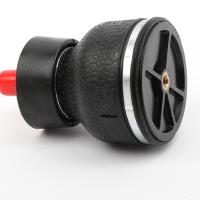 Molas de ar do rito do passeio do Firestone de Seat Airide W02-358-3000 da motocicleta