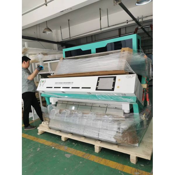 Top Quality Peanut Groundnut Walnut Almond Hazelnut Pistachio Color Sorter Machine From Wenyao China