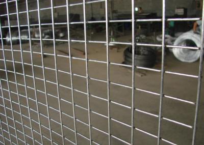 Galvanized Welded Wire Mesh Factory 1-4 Hole Reinforcement Wire Mesh For Agricultural