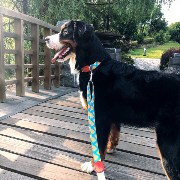 25 Ft 20 Ft 10 Ft 15 Ft Dog Seat Belt Leash Outdoor Running Patterned Polyester Webbing